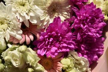 floral background with fresh pink and white flowers, top view