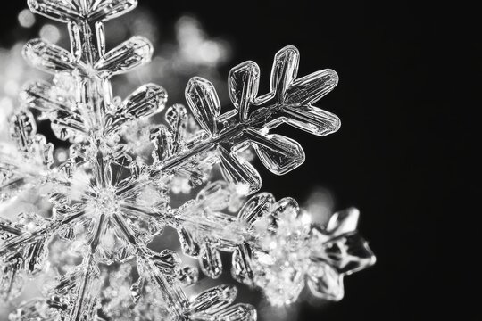 Close-up of a detailed snowflake on black background