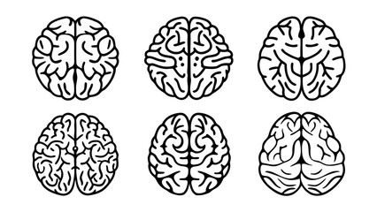 Vector Human Brain Line Art