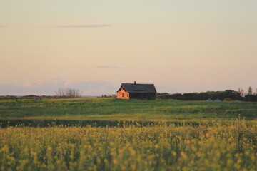 Markinch Saskatchewan Prairie Wildlife and Scenery
