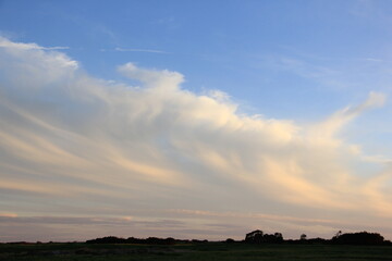 Markinch Saskatchewan Prairie Wildlife and Scenery