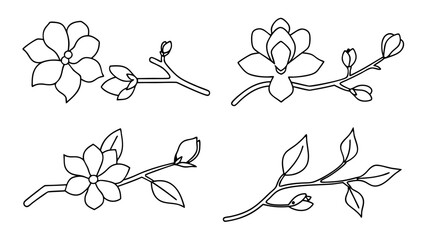 Magnolia flower, magnolia tree branch line art