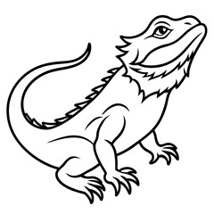 Bearded Dragon line art vector