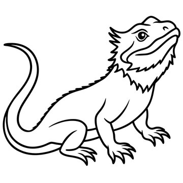 black and white bearded dragon reptile clip art preview