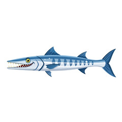 A cartoon barracuda with sharp teeth smiles playfully against a white background.