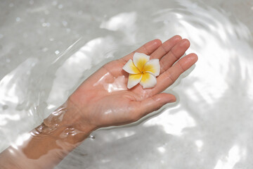 Hand Holding Frangipani Flower in Clear Water for Spa and Wellness Concept