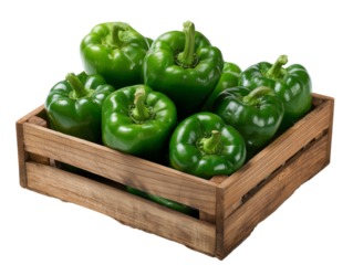 A vibrant display of fresh green bell peppers, neatly arranged in a rustic wooden crate.