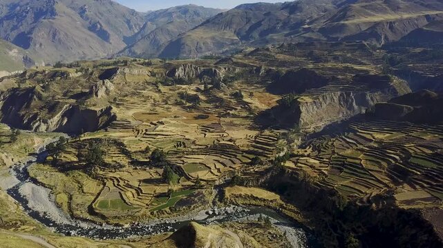 Aerial view of the Colca river snaking through the terraced fields, showcasing the intricate agricultural landscape etched into the valleys, Chivay, Arequipa, Peru.