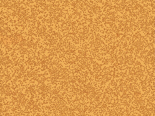 Beige sandpaper texture vector background. Abstract sand print pattern in beige and brown tones.