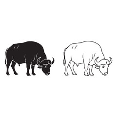 Calm Demeanor Evident - Buffalo Figure Pairing - Sleek Silhouette and Defined Lineart - Buffalo silhouette - Buffalo lineart - Buffalo vector - silhouette & lineart of Buffalo

