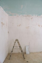 Aluminum Ladder in an Unrenovated Room