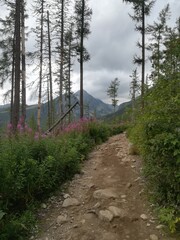 Tatry