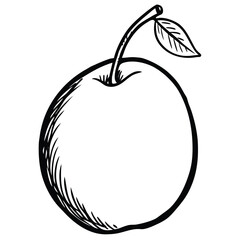 Hand Sketched Plum Fruit Vector Illustration for Botanical and Packaging Design, Plum Fruit Hand Sketch, Black and White Plum Drawing, Minimalist Plum Fruit Outline

