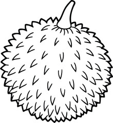 Minimal Rambutan Fruit Line Drawing Vector Illustration for Botanical and Packaging Design, Rambutan Fruit Outline Drawing, Black and White Rambutan Sketch, Monochrome Rambutan Fruit Drawing

