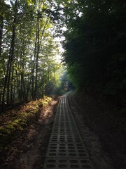 Obraz premium Exif_JPEG_420