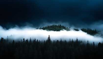 Fototapeta premium Misty mountain forest landscape with evergreen trees shrouded in fog under a dramatic dark sky
