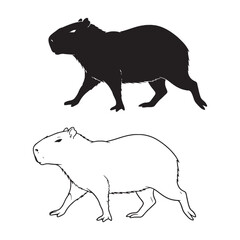 Social Group Essence - Capybara Side View Art - Matching Silhouette and Clean Lineart Presentation - Capybara silhouette - Capybara lineart - Capybara vector - silhouette & lineart of Capybara

