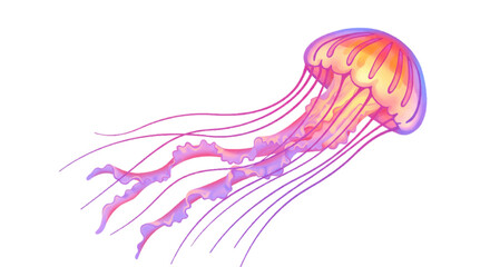 jellyfish on black background