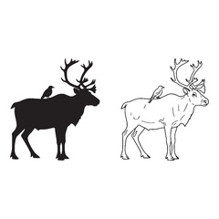 Horn Growth Cycle - Caribou Graphic Study - Striking Silhouette and Refined Lineart Art Set - Caribou silhouette - Caribou lineart - Caribou vector - vector set of Caribou

