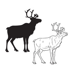 Large Antler Display - Caribou Illustration Assets - Vivid Silhouette and Crisp Lineart - Caribou silhouette - Caribou lineart - Caribou vector - silhouette & lineart of Caribou

