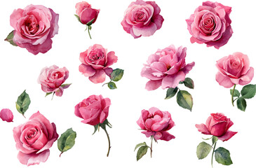 Fototapeta premium seamless pattern with pink roses