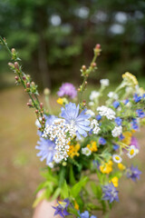 vibrant wildflower bouquet featuring blue, yellow, and white blooms held in hand with greenery in focus against a soft blurred forest background, botanicals, meadow, gather, arrangement, peaceful