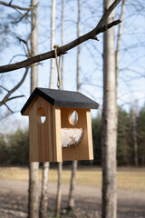 wooden birdhouse hanging on tree branch in serene forest setting with sunlight illuminating the simple rustic design amidst bare trees under clear blue sky, focus, blurred, perspective, composition