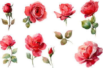 seamless pattern with roses