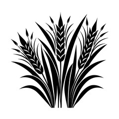 wheat ears isolated on white