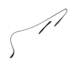  minimalist hand drawn signature