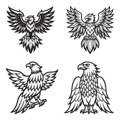 Fototapeta premium A drawing of a eagle line art illustration