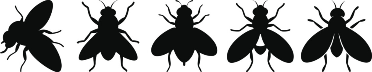 Insect Silhouette Set – Flies in Black and White