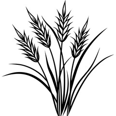 Agrostis stolonifera silhouette vector