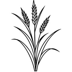 Agrostis stolonifera silhouette vector