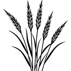 Agrostis stolonifera silhouette vector