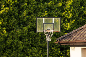 Outdoor basketball hoop in front of a green hedge and a house roof © Alex Malt