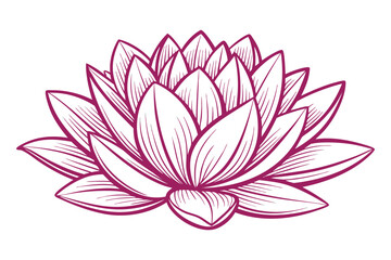 Elegant lotus flower drawing for peaceful wellness and spa designs