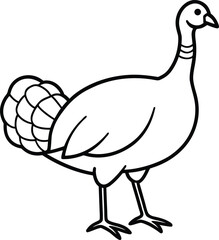 wild turkey icon line art vector illustration on transparent background	
