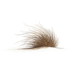 Illustration of a clump of dry, brown grass growing on a small mound of sand, isolated on a white background.