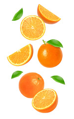 set of fresh oranges on transparent background.