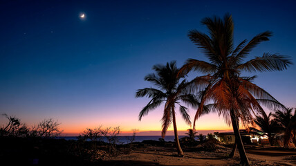 Tropical twilight: Palm trees sway against a vibrant sky painted with hues of sunset and the soft glow of the moon.