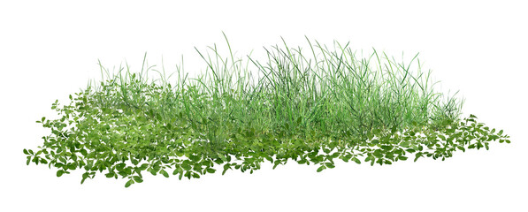 green grass isolated on white/Green grass and natural foliage in meadow field, isolated PNG for design use.
