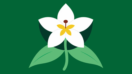 White Trillium Flower with Yellow Center Green Leaves
