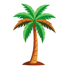 palm tree on white background
