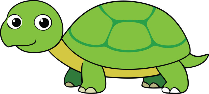 tortoise full body clipart vector