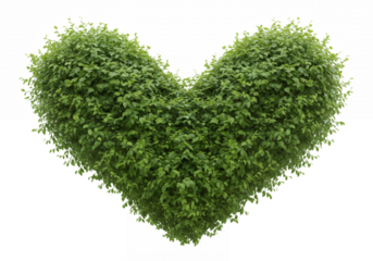Green heart shape made of leaves isolated on transparent background