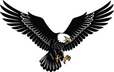 Bald eagle in flight, fierce wings spread, majestic bird of prey soaring, nature wildlife photography, freedom symbol, powerful animal, strong predator, dramatic sky background