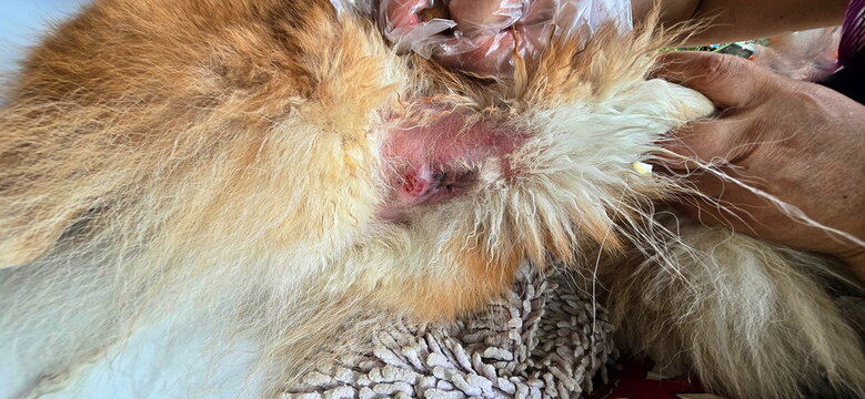 Polina va Maks bakalavr 2 da jinsiy aloqada bolganmi? Yosh qizlar uchun porno veb-kamera