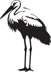 White Stork in silhouette full white baackground.