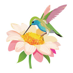 Hummingbirds on a Daisy Blossom